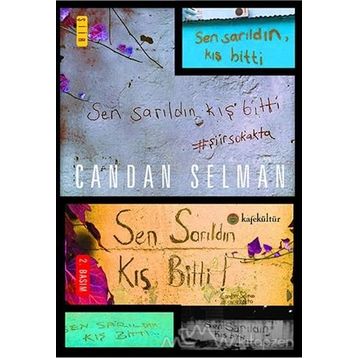 Sen Sarıldın Kış Bitti - Candan Selman