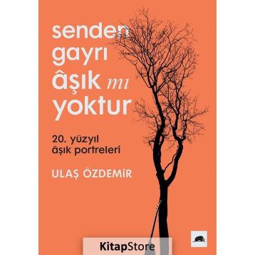 Senden Gayrı Aşık mı Yoktur - Ulaş Özdemir