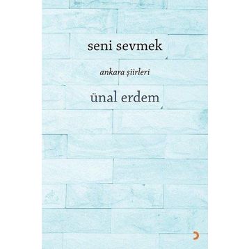 Seni Sevmek - Ünal Erdem