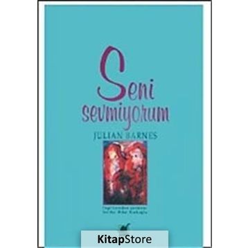 SENI SEVMIYORUM - JULIAN BARNES