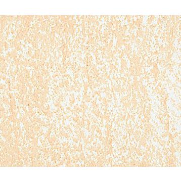 Sennelier Gold Yellow 233 Yağlı Pastel