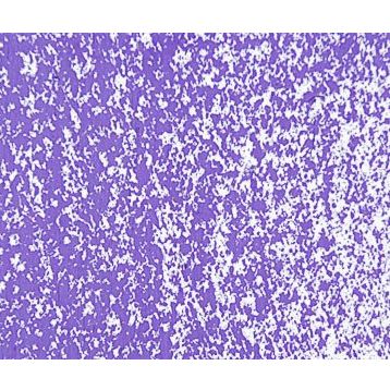 Sennelier Parma Violet 216 Yağlı Pastel