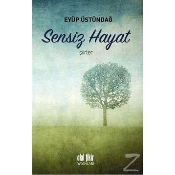 Sensiz Hayat - Eyüp Üstündağ