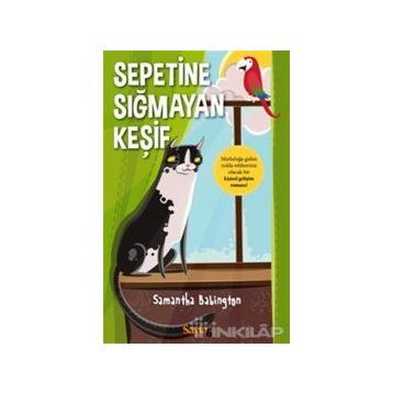 Sepetine Sığmayan Keşif - Samantha Babington