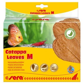 Sera 18 cm 10 Yaprak M Catappya Yaprağı