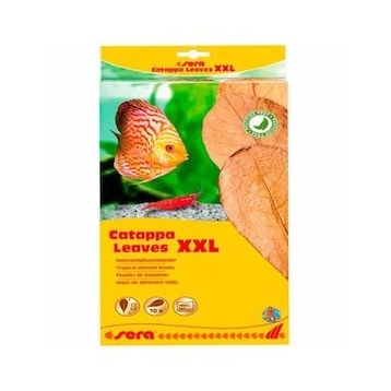Sera 32 cm XXL Catappa Yaprağı