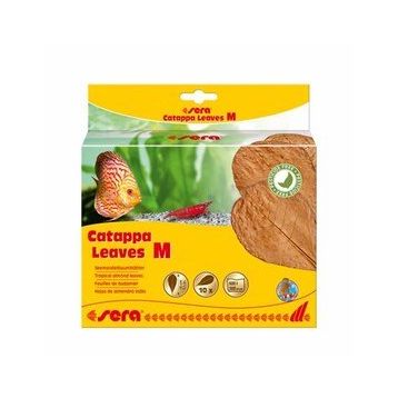 Sera M 18 cm 10'lu Paket Catappa Yaprağı