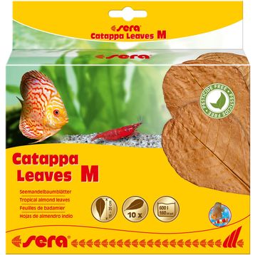 Sera M 18 cm 10'lu Paket Catappa Yaprağı