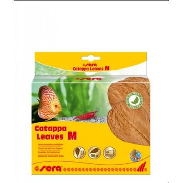 Sera M 18 cm 10'lu Paket Catappa Yaprağı