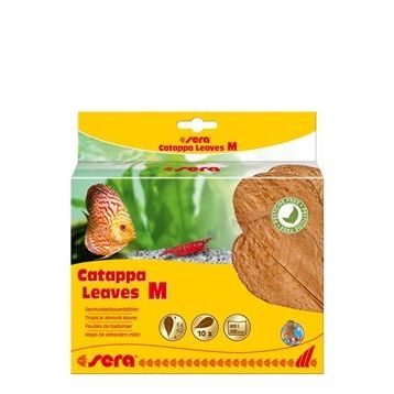 Sera M 18 cm 10'lu Paket Catappa Yaprağı