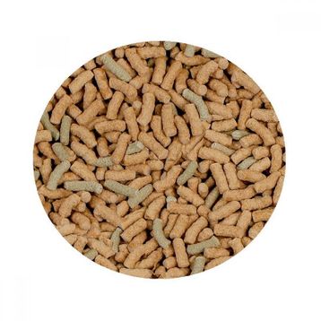 Sera Raffy P Sticks Kovadan Bölme 100 gr Balık Yemi