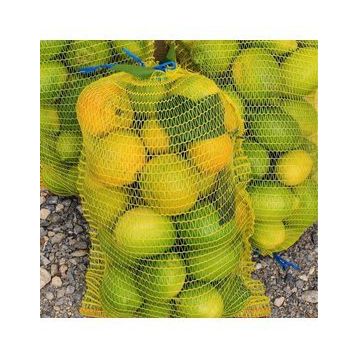 Sera Trend 25 Adet 24x48 m Sarı Limon Ceviz Fındık Çok Amaçlı Boş Çuval