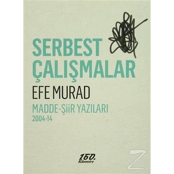 Serbest Çalışmalar - Efe Murad
