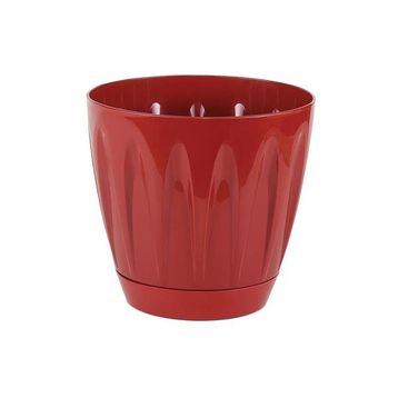 Serinova P001 11.5 cm 0.7 lt Kırmızı Tabaklı Papatya Saksı