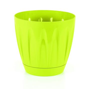 Serinova P001 Papatya 0.7 lt Saksı
