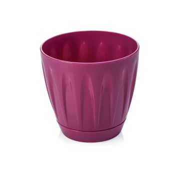 Serinova P003 Papatya 3 lt Saksı