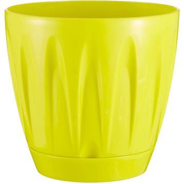 Serinova P004 Papatya 6 lt Saksı