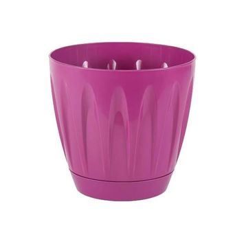 Serinova Papatya Tabaklı 3 lt Saksı