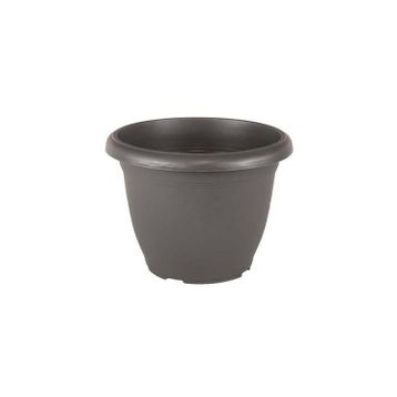 Serinova Villa No 8 14 lt Saksı