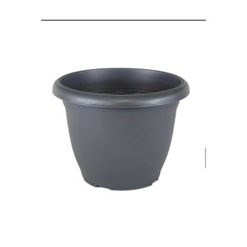 Serinova Villa No 9 22 lt Saksı
