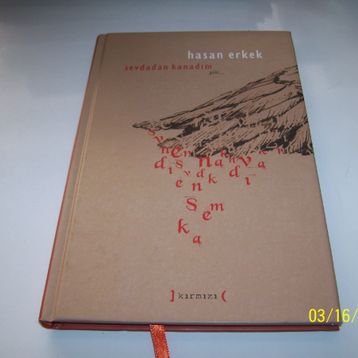 Sevdadan Kanadım - Hasan Erkek