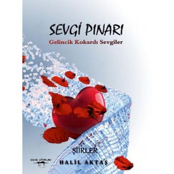 Sevgi Pınarı - Halil Aktaş