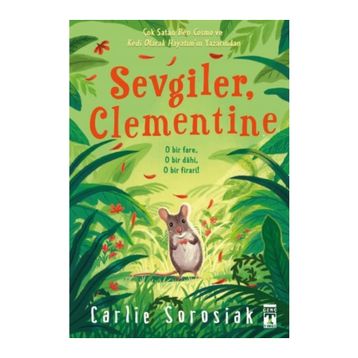 Sevgiler Clementine Genç Timaş