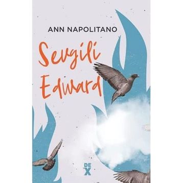Sevgili Edward - Ann Napolitano