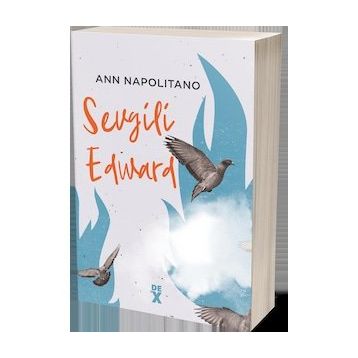 Sevgili Edward - Ann Napolitano