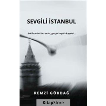 Sevgili İstanbul - Remzi Gökdağ