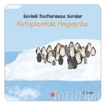 Sevimli Dostlarımıza Sorular Kutuptaki Hayvanlar - Işıl Erverdi