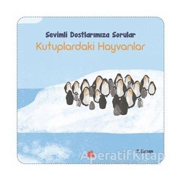 Sevimli Dostlarımıza Sorular Kutuptaki Hayvanlar - Işıl Erverdi