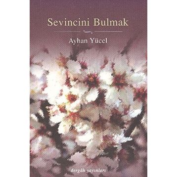 Sevincini Bulmak - Ayhan Yücel