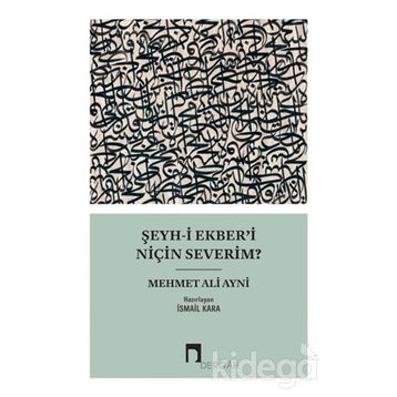 ŞEYH-I EKBER'I NIÇIN SEVERIM? - MEHMED ALI AYNI