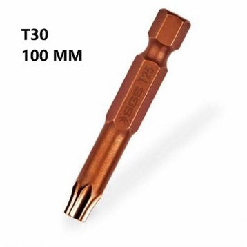 SGS S2 T30 100 mm Torx Uçlu Bits