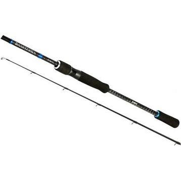 Shimano Bassterra Sea Bass 2.74M 7-30G 2Pc Spin Kamışı