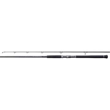 Shimano Currentsniper XR S96H 2.90M Max 120 gr Plug 100 gr Shore Jig Olta Kamışı
