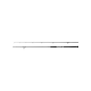 Shimano Currentsniper XR S96M 2.90 m 56 gr 70 gr Shore Jig Kamışı