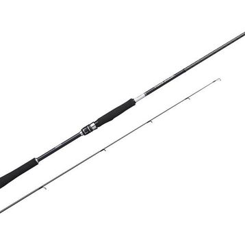Shimano Moonshot Spinning Inshore 2.90 mt 9'6 Plug 8-42 gr Jig Atarlı Kamış