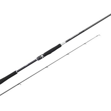 Shimano Moonshot Spinning Inshore 2.90 mt 9'6 Plug 8-42 gr Jig Atarlı Kamış