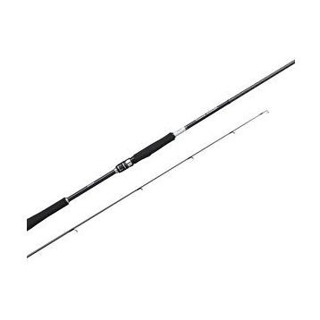 Shimano Moonshot Spinning Inshore 2.90 mt 9'6 Plug 8-42 gr Jig Atarlı Kamış