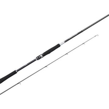 Shimano Moonshot Spinning Inshore 2.90 mt 9'6 Plug 8-42 gr Jig Atarlı Kamış