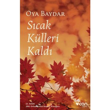 Sıcak Külleri Kaldı - Oya Baydar