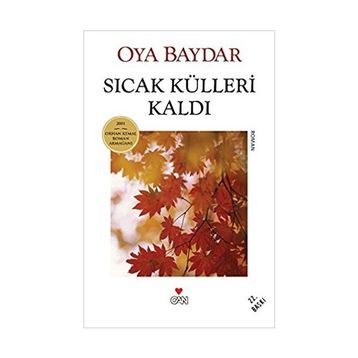 Sıcak Külleri Kaldı - Oya Baydar