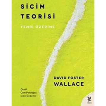Sicim Teorisi - David Foster Wallace