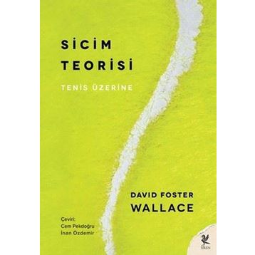 Sicim Teorisi - David Foster Wallace