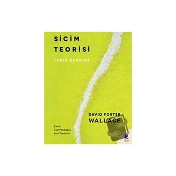 Sicim Teorisi - David Foster Wallace
