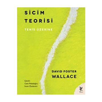 Sicim Teorisi - David Foster Wallace