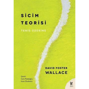 Sicim Teorisi - David Foster Wallace