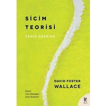 Sicim Teorisi - David Foster Wallace